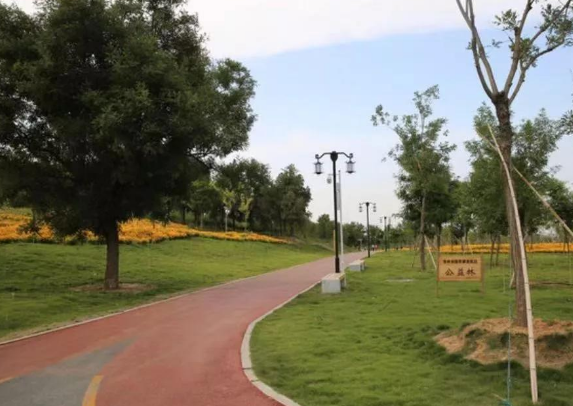 第一批“山东省最美绿道”公众投票开始啦~快来为青州市长寿路绿道投票吧！