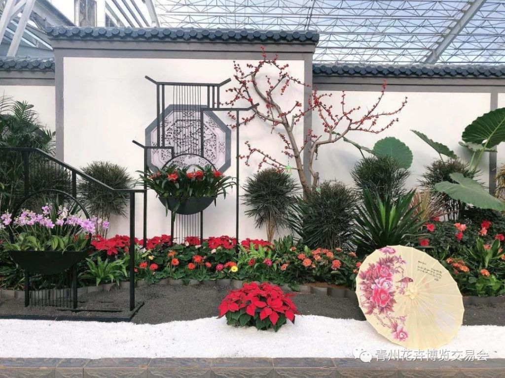 好消息！花好月圆景区“青州花博会展馆”长期开放！！！