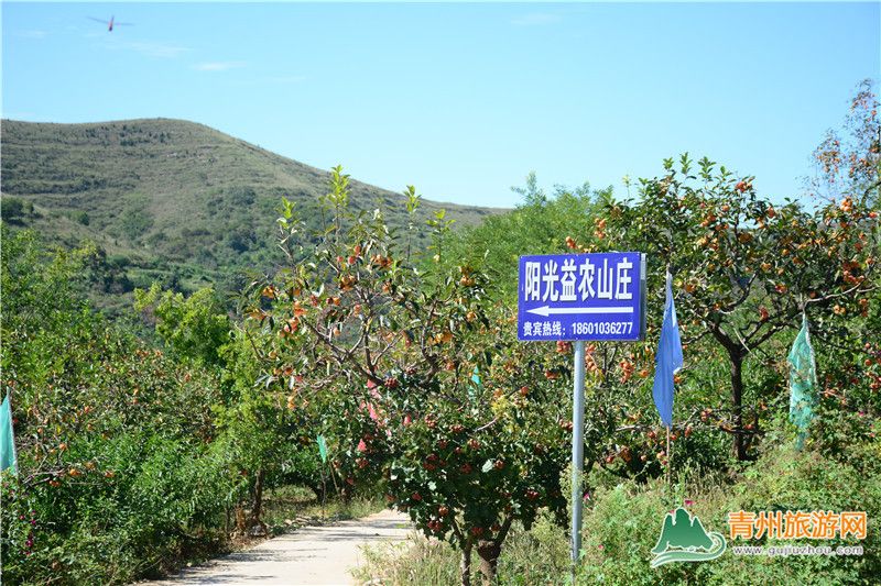 青州王坟镇有一处山庄，这里夜不闭户，民风淳朴！