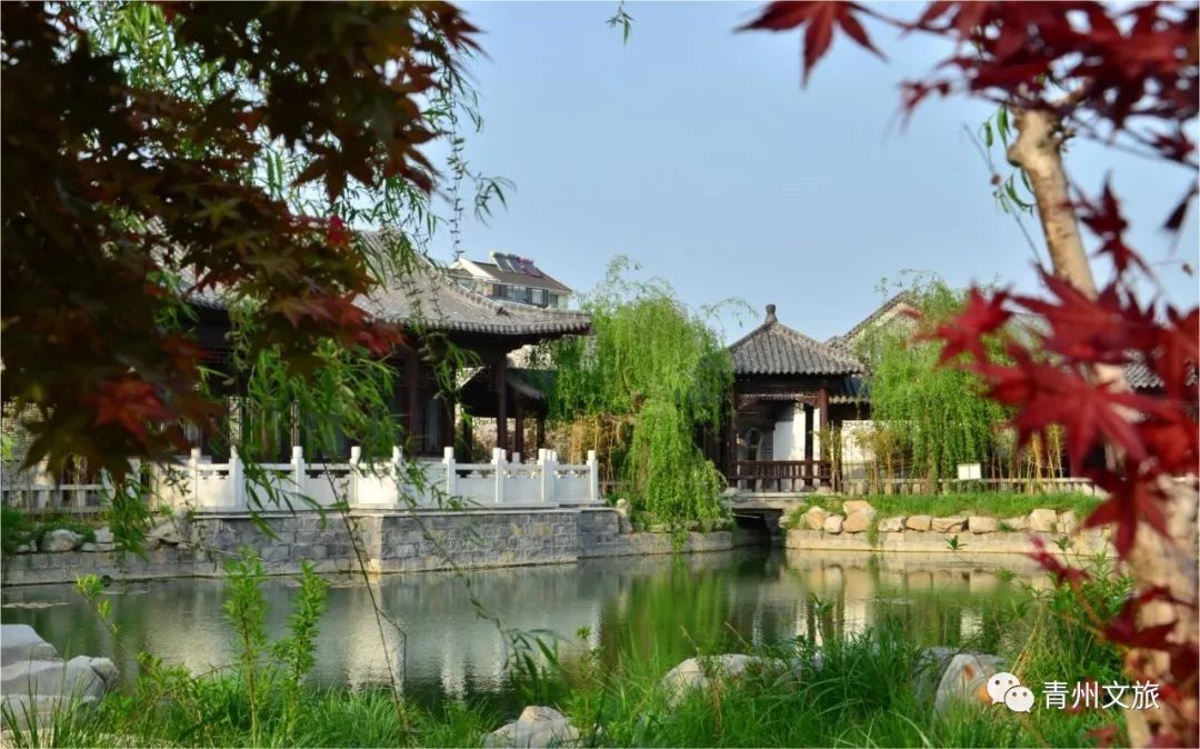 藏在青州市区的古园林，免费可进！