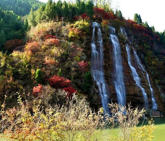 有一种风华叫青州｜黄花溪，一阙如梦令