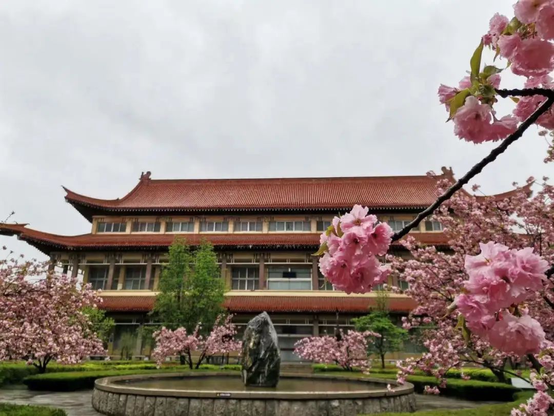 青州市博物馆2022年“五一”劳动节期间正常对外开放