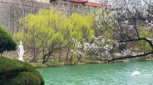 青州的母亲河，这里风景独美！