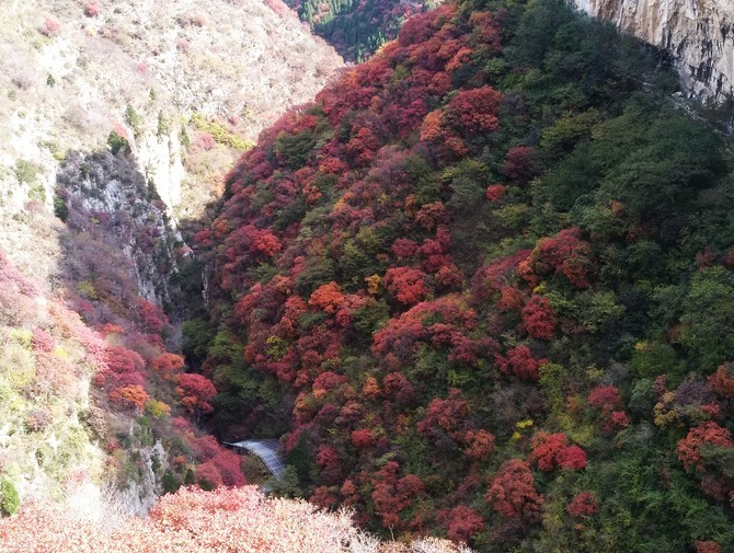 在青州，看万山红遍、层林尽染