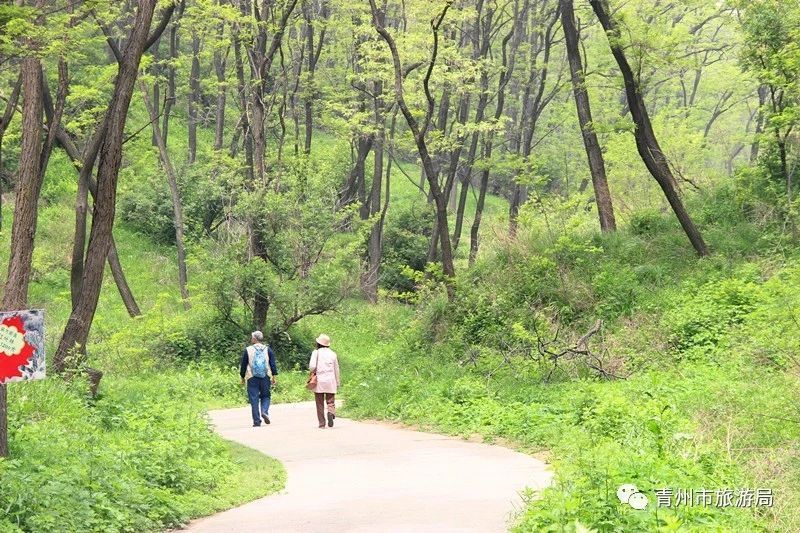 登峰远眺，坐看云起，来这里赏最美山色，一片翠绿尽收眼底！