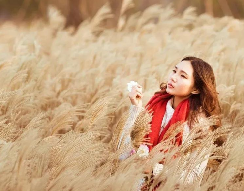 免费！芦花飞雪、候鸟翔集，秋冬时节，这里就成了草木人间！