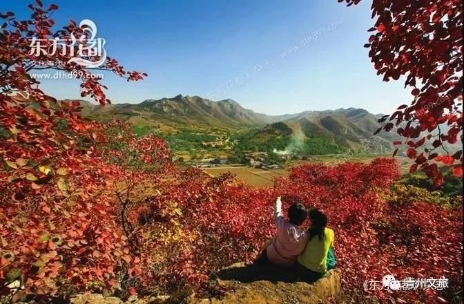 金秋十月，青州西南山区，这些红叶很迷人！