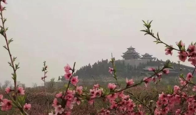 清明时节的青州城，花开全城