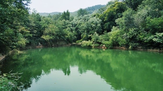 惬意青州，井塘古村一日游