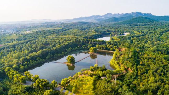 青州：守护绿水青山 提升生态“颜值”