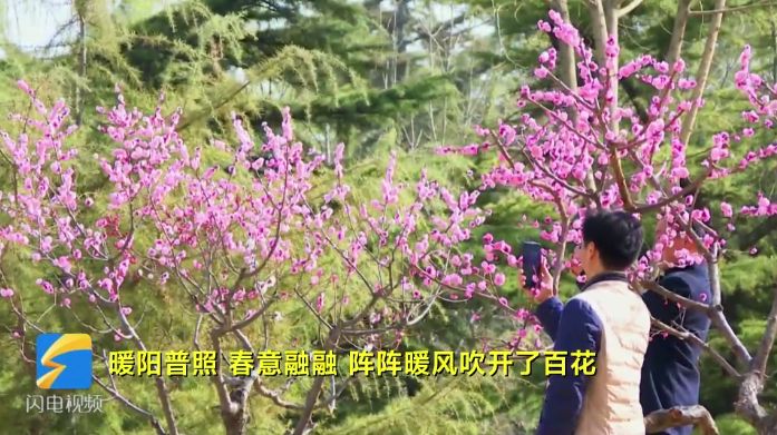 青州范公亭公园百花争艳齐开放 正是春日赏花时