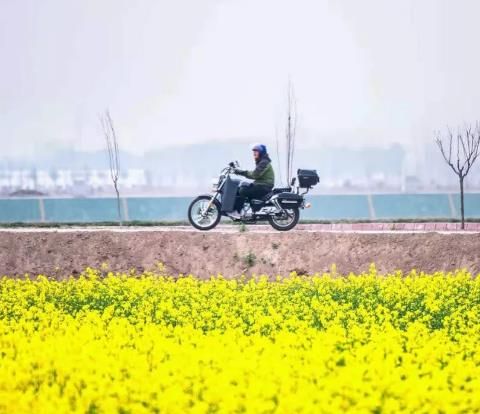 济南最美油菜花海上线，这个春日，一起制霸朋友圈！ 