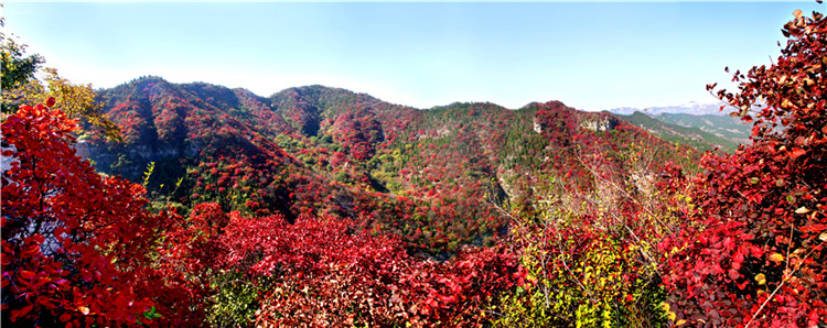 仰天山国家森林公园