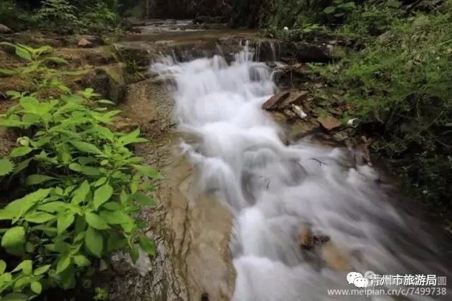 柿子沟