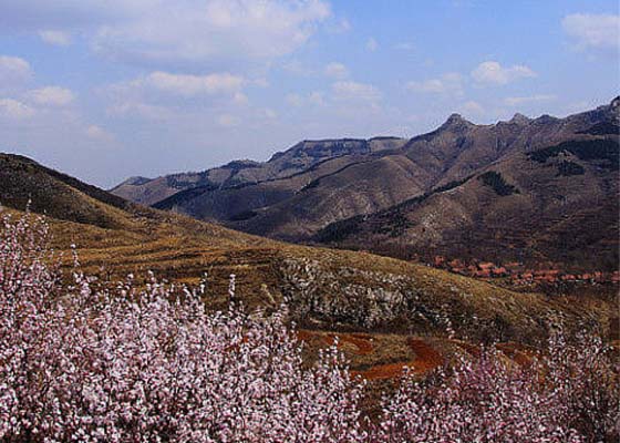 青州桃花山