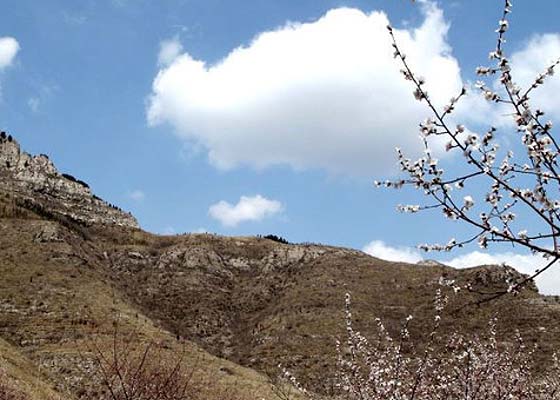 青州桃花山