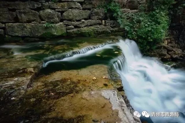 青州柿子沟