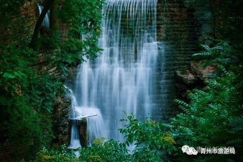 青州柿子沟