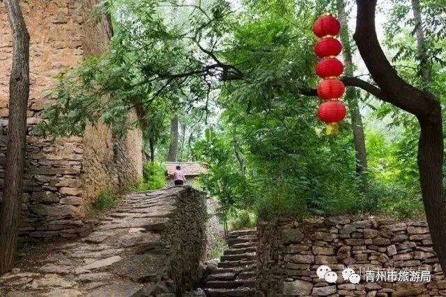 青州柿子沟
