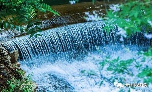 青州柿子沟