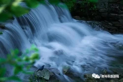 青州柿子沟