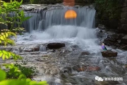 青州柿子沟