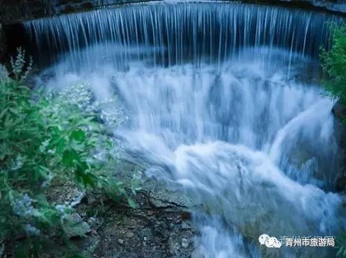 青州柿子沟