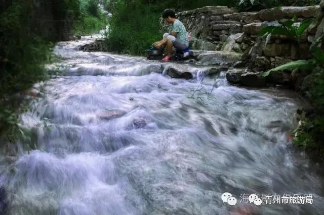 青州柿子沟