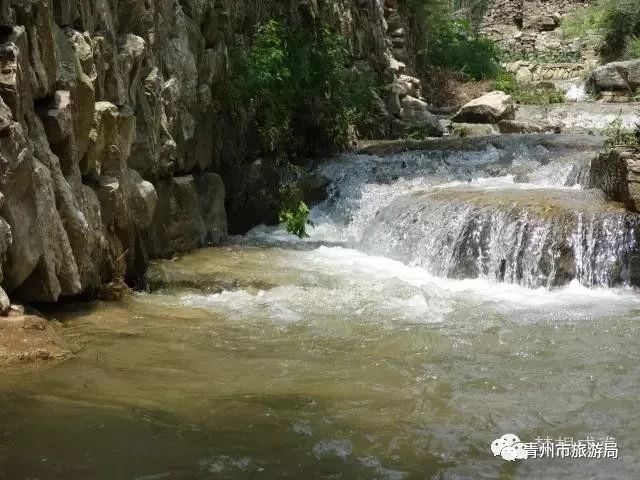 青州柿子沟