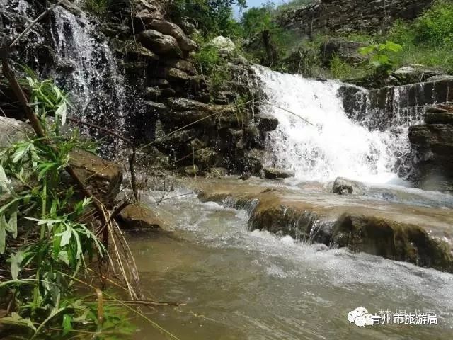 青州柿子沟