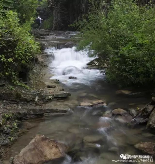 青州柿子沟
