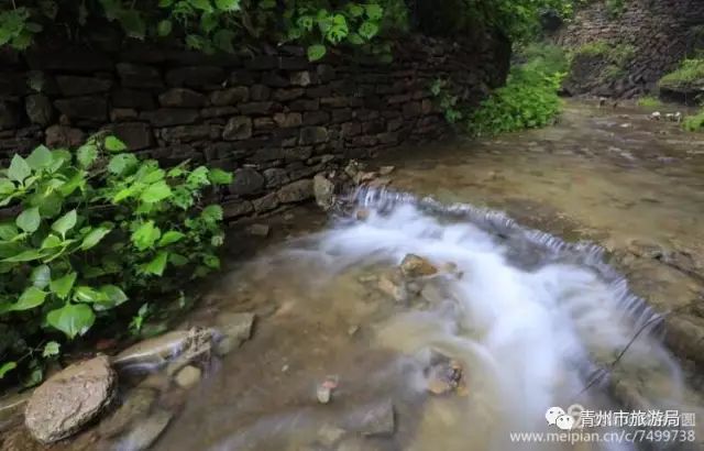 青州柿子沟