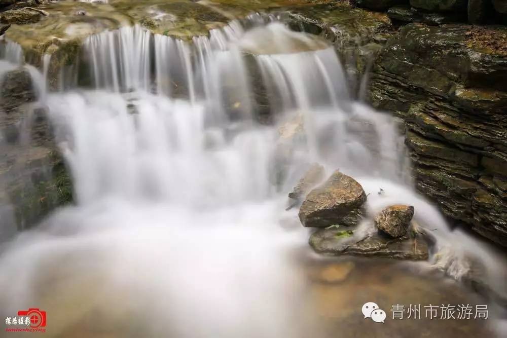 青州杨集