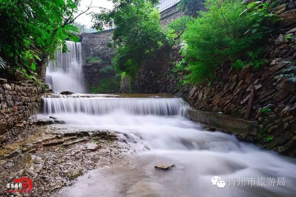 青州柿子沟