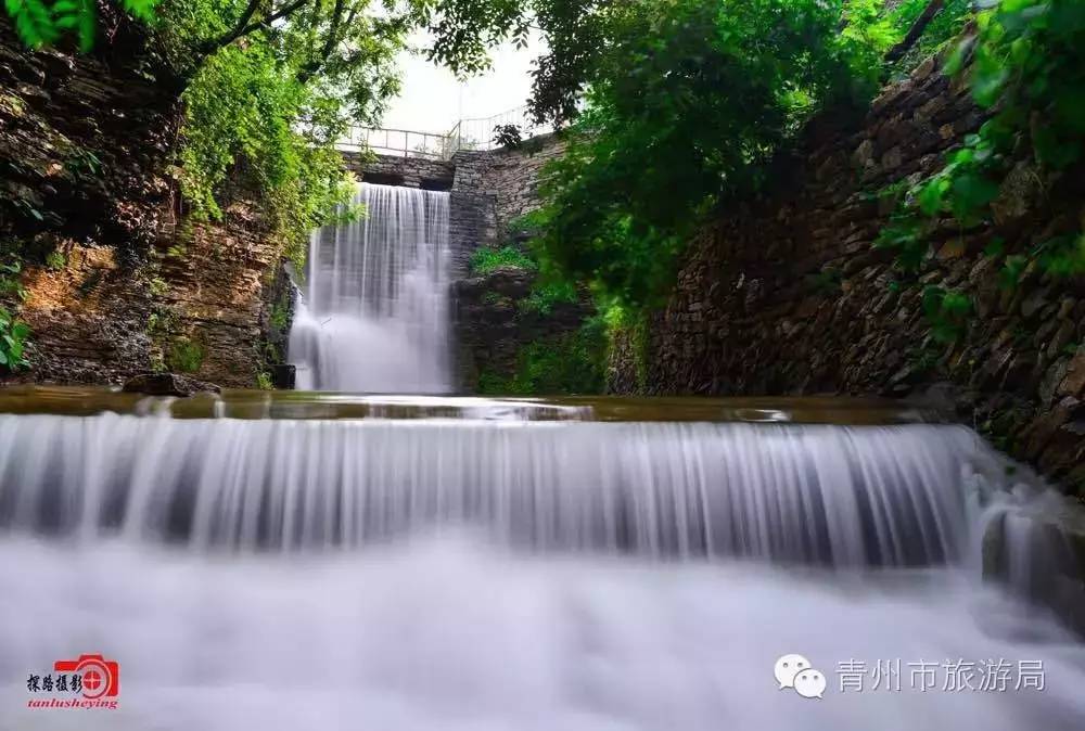 青州柿子沟