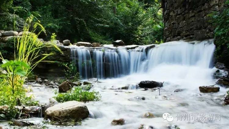 青州柿子沟