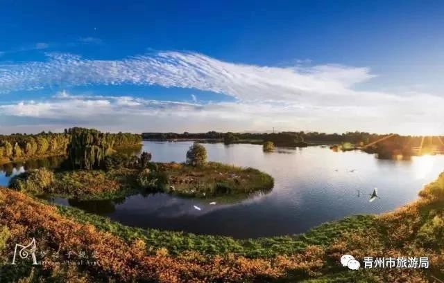 青州弥河湿地公园