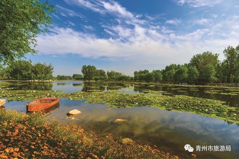 青州弥河国家湿地公园