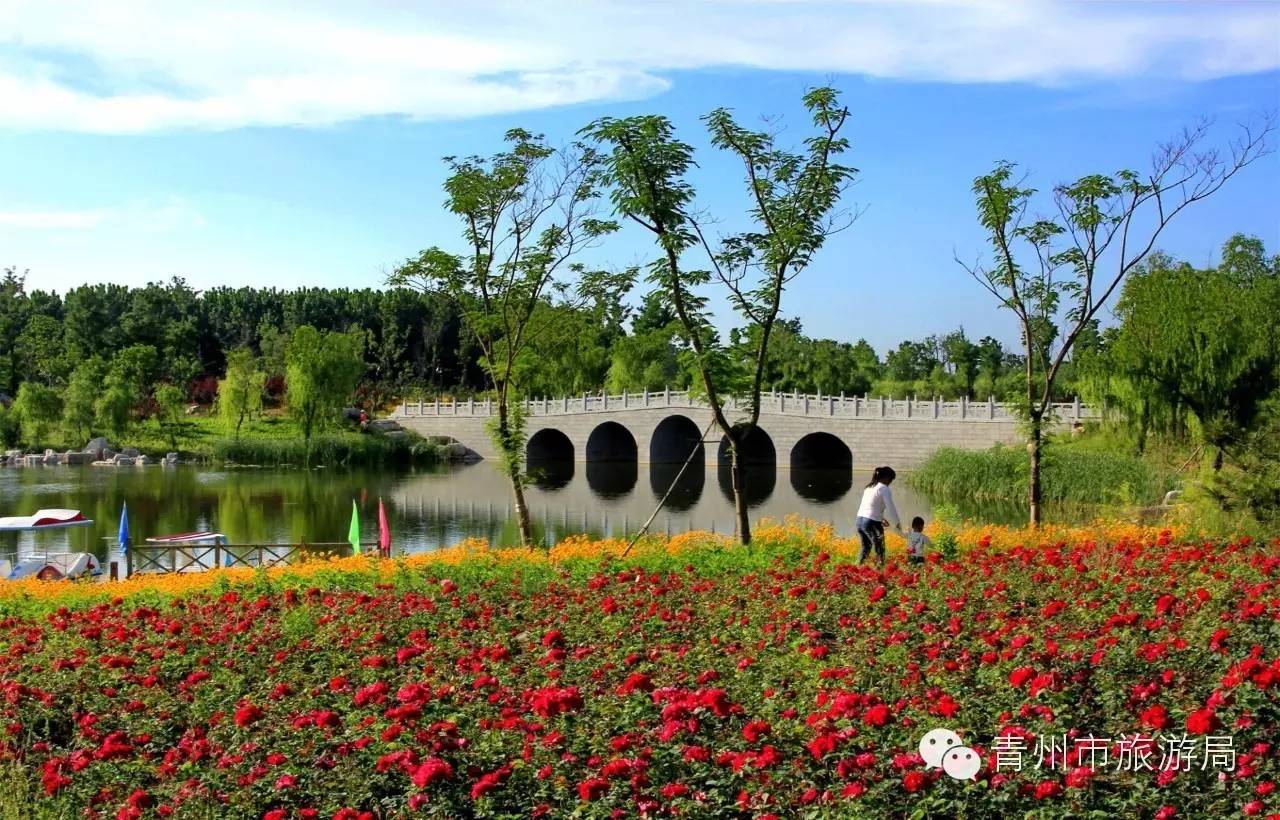 青州弥河国家湿地公园