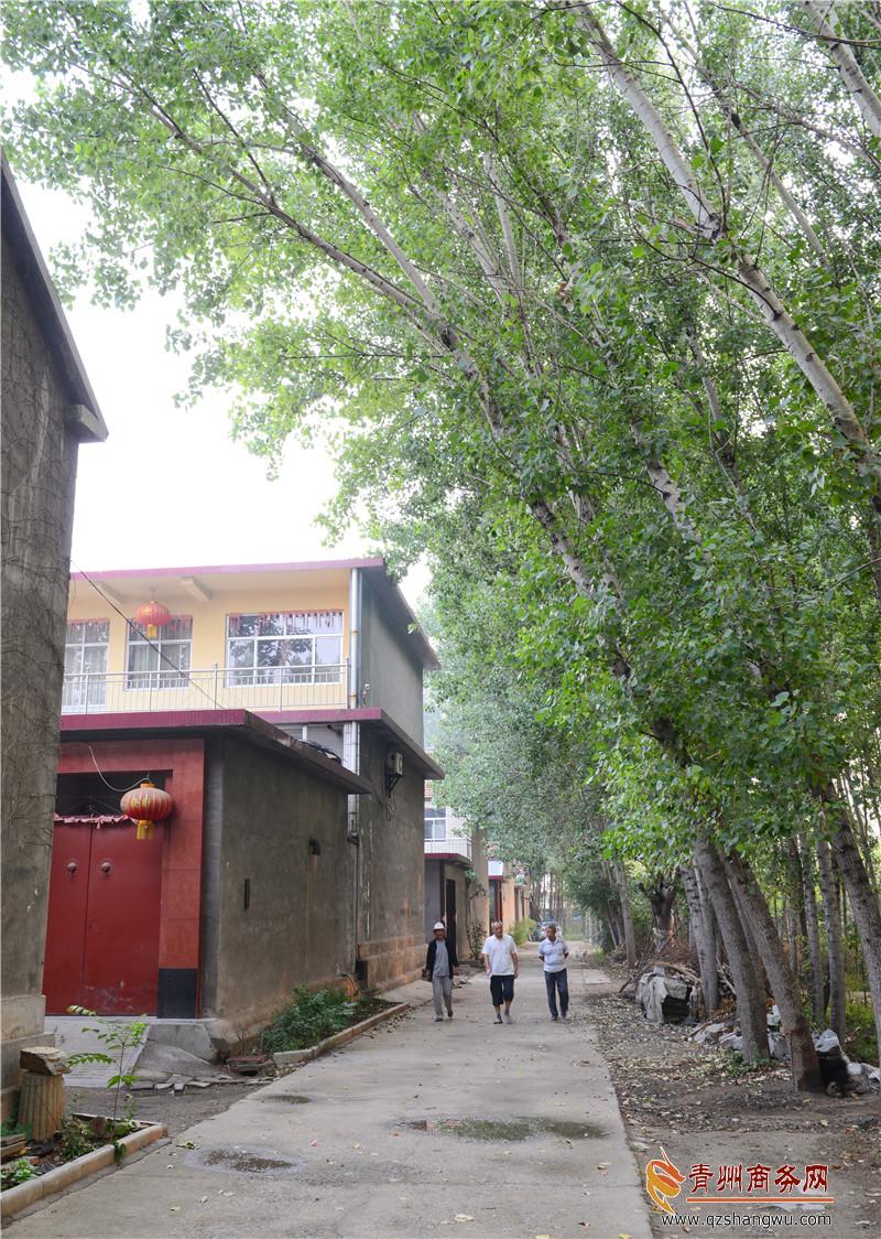 西邢村东街照