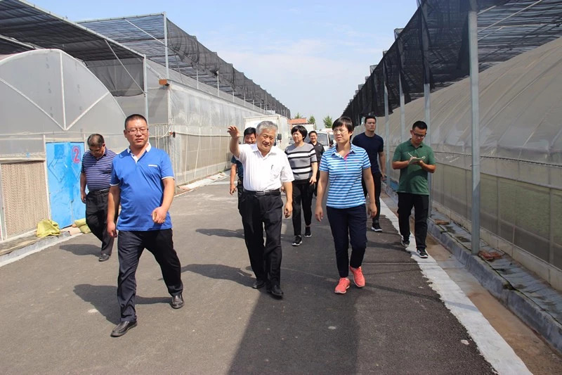 青州市政府副市长翟敏到各乡村旅游发展村调研