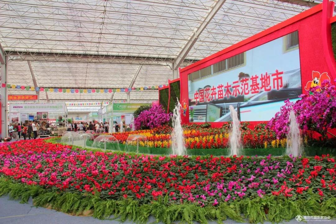 青州花博会