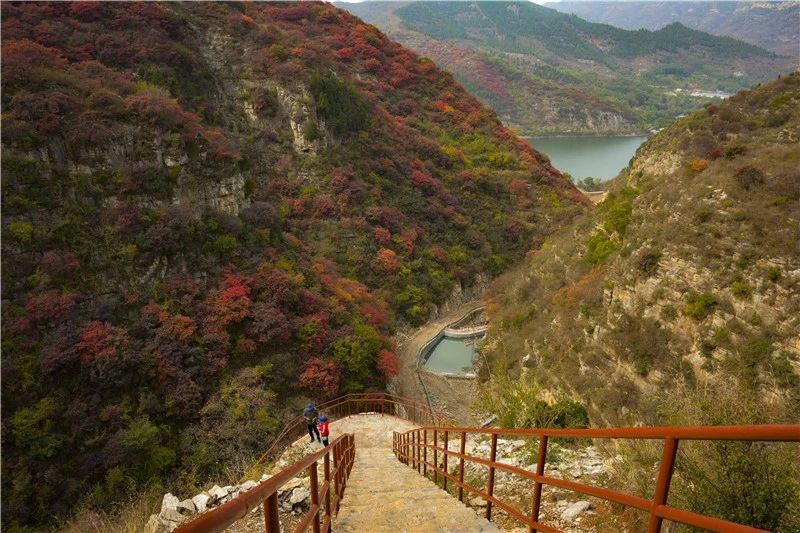 秋天圣峪口的红叶美景