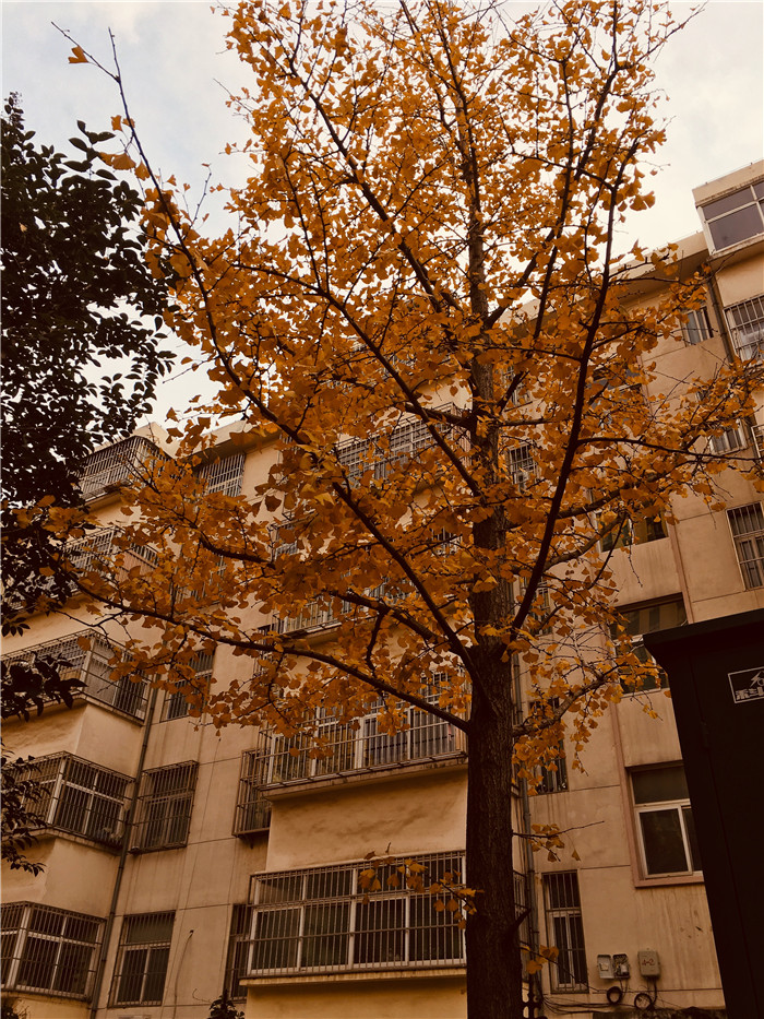 微信图片_20181116151453.jpg