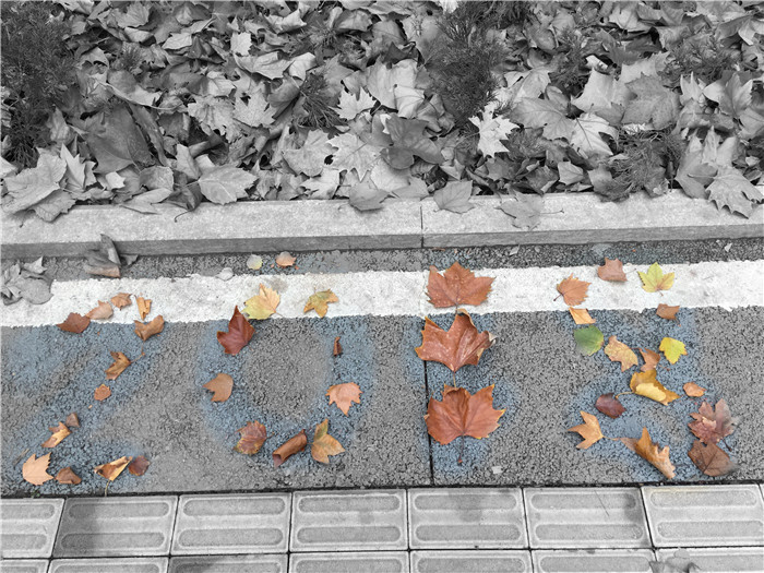 微信图片_20181116151306.jpg