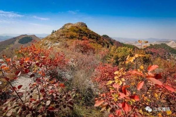 青州东峪村