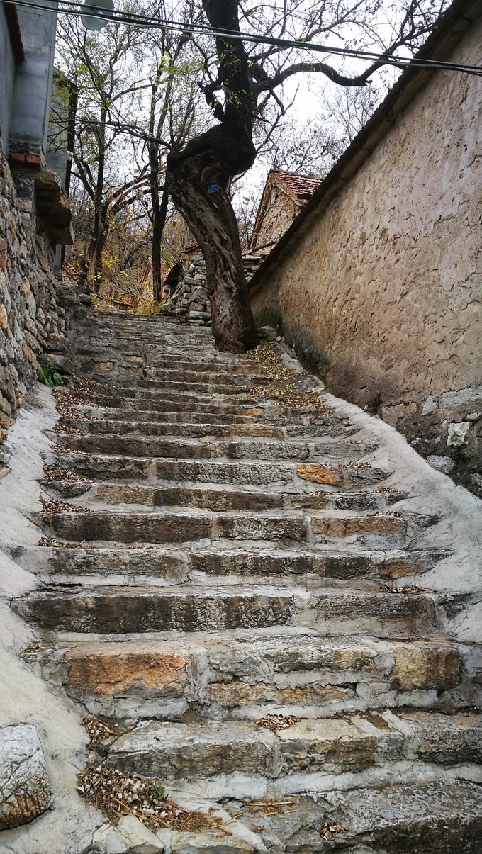 青州杨集景点图片