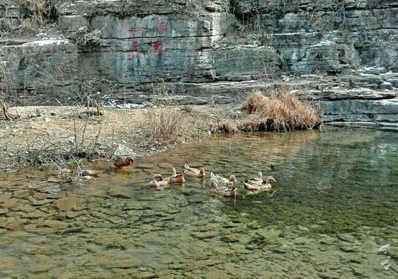 1547450964582435.png 3.png