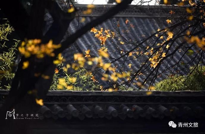 青州旅游网.jpg