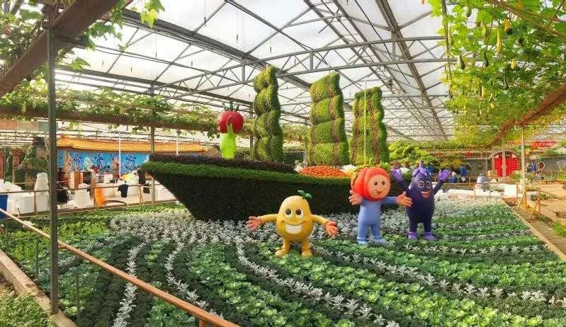 蔬菜博览会2020图片